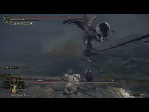 Defeating Death Bird (Hitless)  - Elden Ring