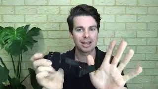 Everything you Need to Know About Citronella Dog Collars - eDog Australia