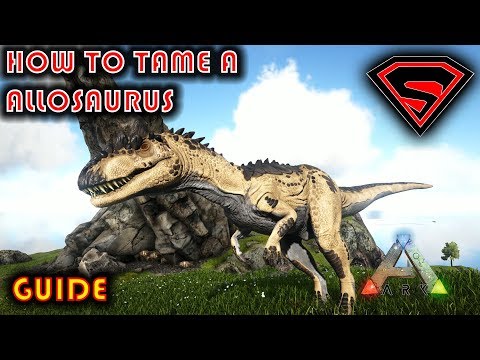 ARK HOW TO TAME A ALLOSAURUS 2019 - EVERYTHING YOU NEED TO KNOW ABOUT TAMING AN ALLOSAURUS
