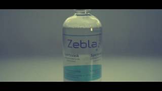 Zebla Sportsvask uden perfume 500ml