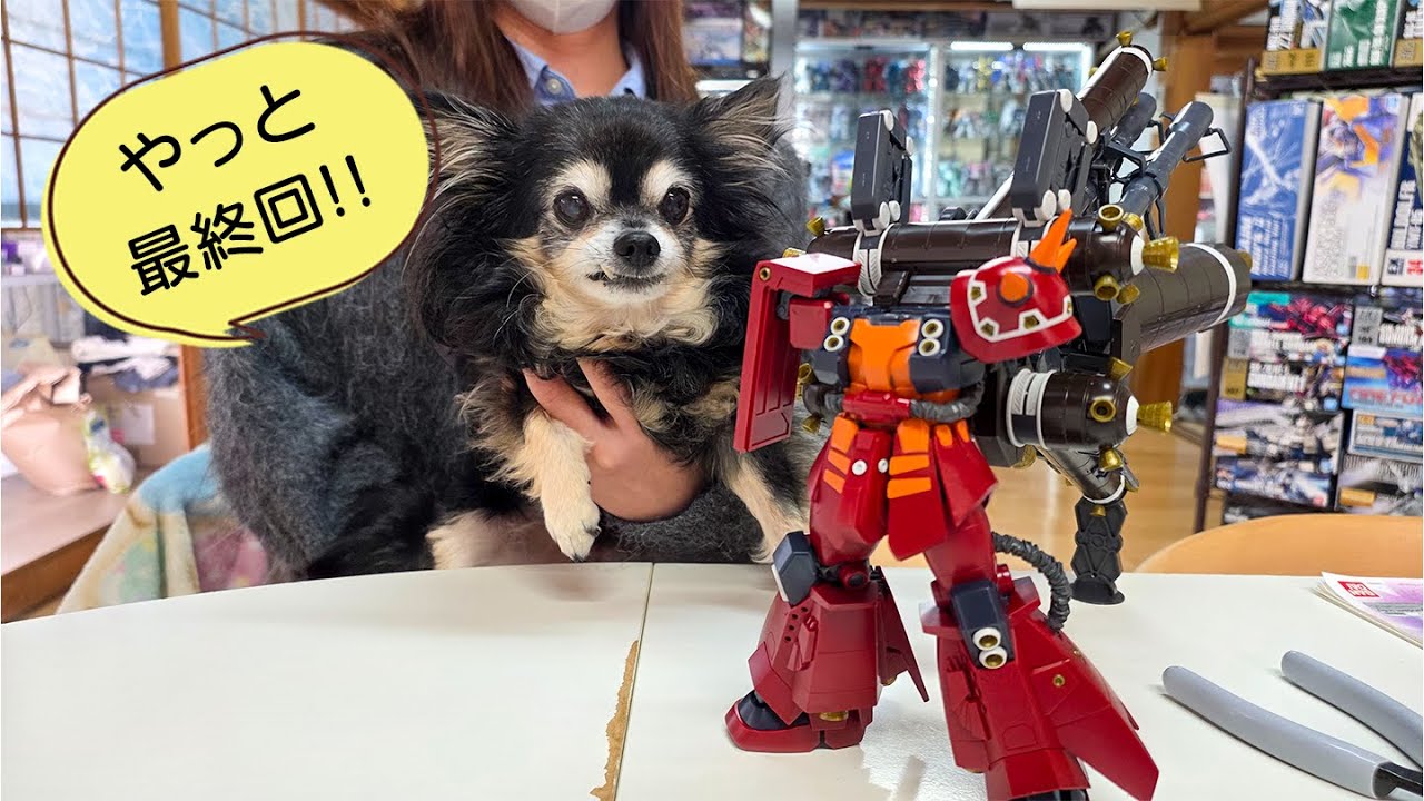 【最終回】年末年始連日ライブ！君は刻の涙を見る…