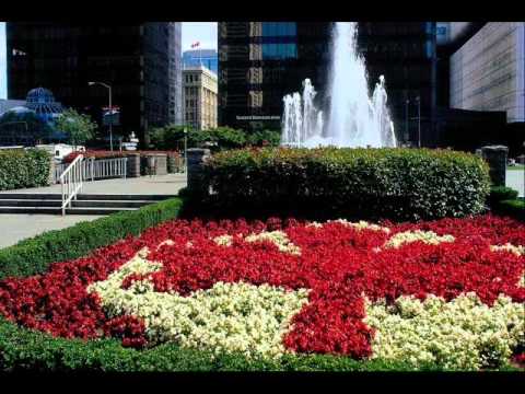 S'IL VOUS PLAIT ARCHIE BLEYER.wmv