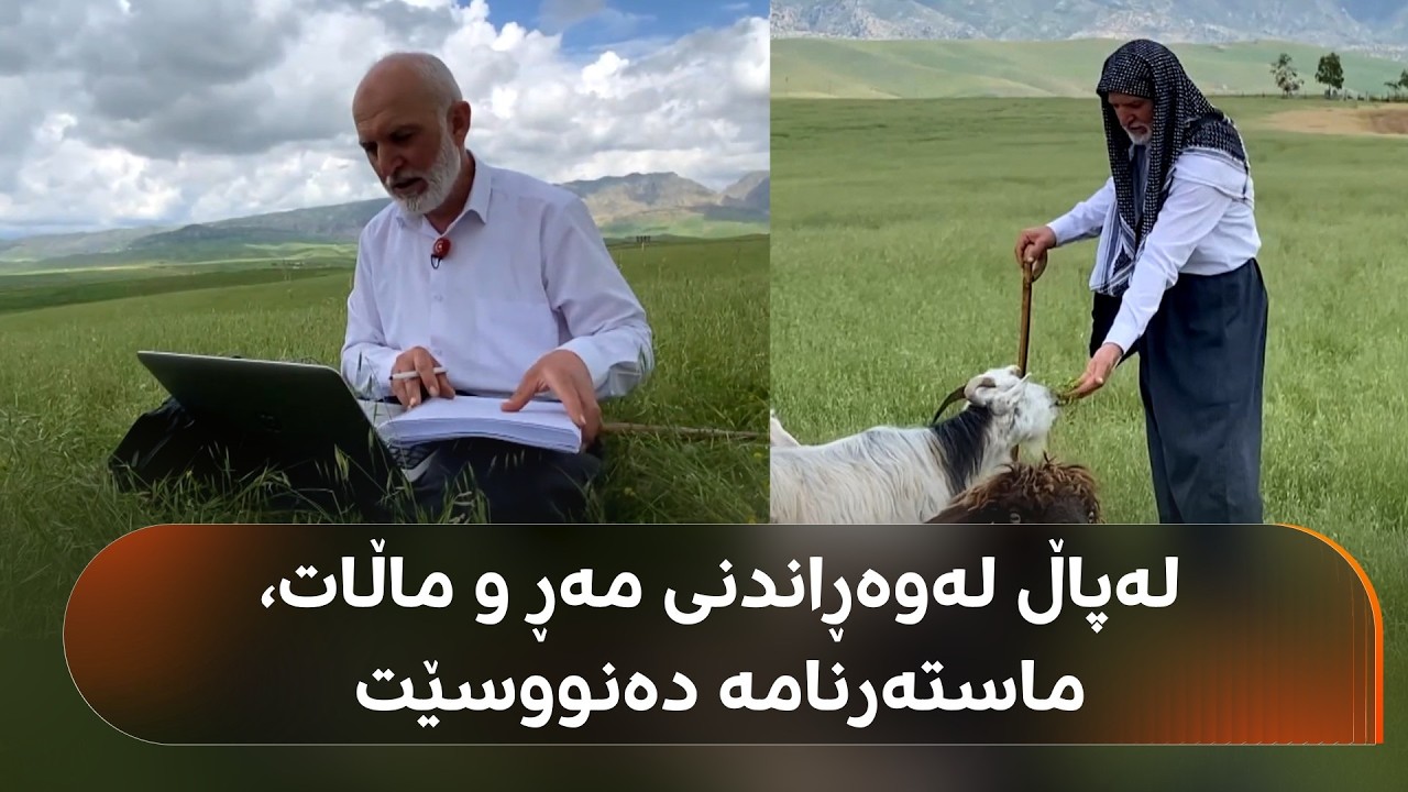 ڤیدیۆ | بە دەستێک گۆچانی گرتووە و خەریکی شوانکارییە و بەدەستەکەی دیکەشی خەریکی نووسینی ماستەرنامەیە