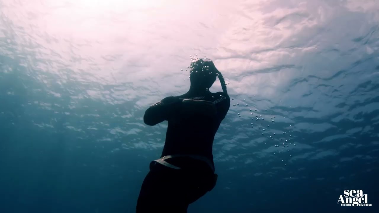 Immerse yourself in the world of freediving! 🤿