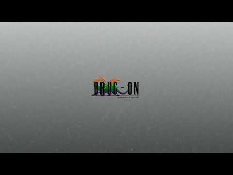 Wormhole: Salvia Divinorum feat. Carlo Corallo