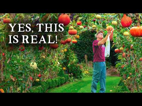 UK: A Magical 130 Foot Garden Tunnel That’s Filled With Fully Edible Fruits From Arching Trees and Vines UK: A Magical 130 Foot Garden Tunnel That’s Filled With Fully Edible Fruits From Arching Trees and Vines