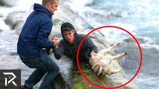 10 Heroic People Who Saved Animals Lives