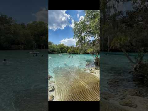 Florida Springs video thumbnail
