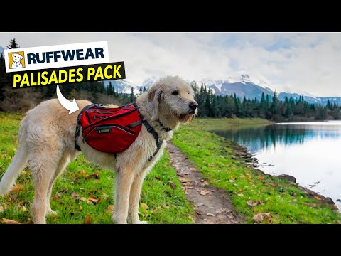 Perfect Backpack for your Canine Companion - RUFFWEAR PALISADES Dog Pack