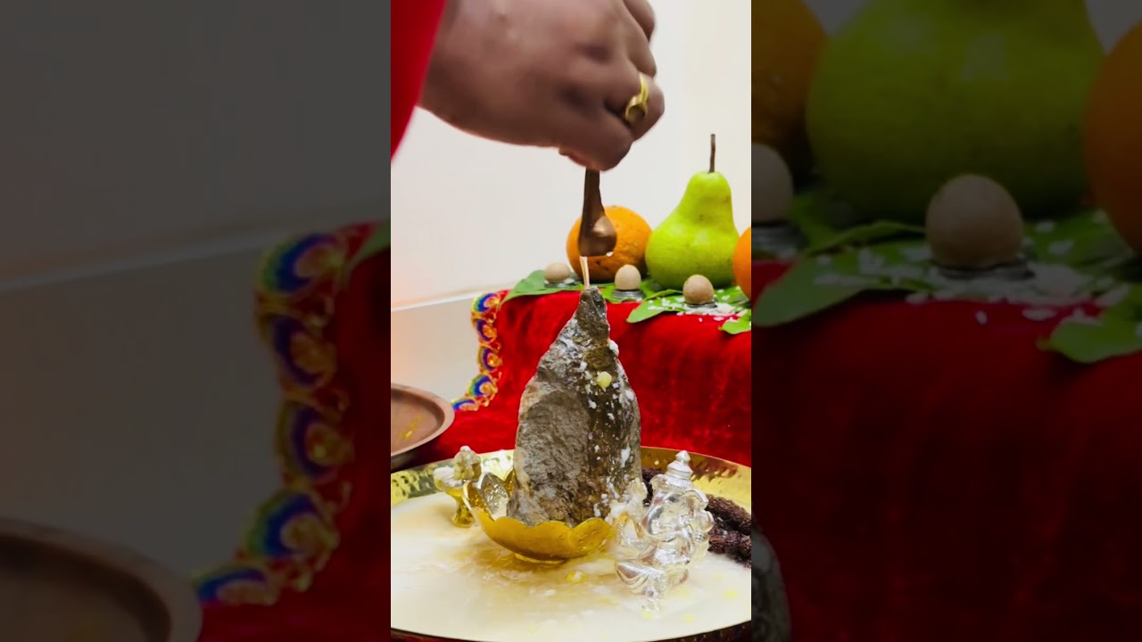 My Kailash Stone Shiv Pooja Mahashivratri 2026