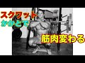 スクワットで使うかかとの高さでの筋肉の使われ方の違い【筋トレ】
