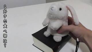 #1 教えて！れおなるど【食べ物編】