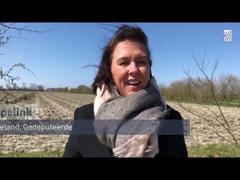 De Zeeuwse Wandelroute 2021