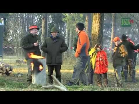 DJZ-TV: Drückjagd auf dem Truppenübungsplatz