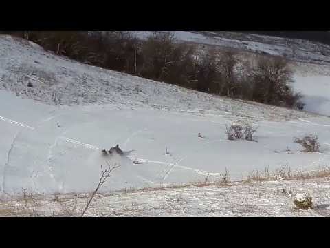 Санки ватрушки Люкс Про