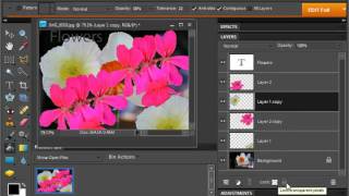 Photoshop Elements 9.0 Tutorial Locking Layers Adobe Training Lesson 10.6