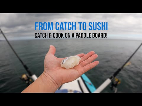 SUP Fishing Mount Martha, Mornington Peninsula - I make nigiri sushi on my standup paddle board!