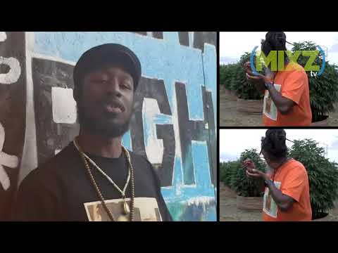 Vote Yes - Siavani feat. Sir Charles, Kiwi Ras, GiantKilla Etc(Official Music Video)