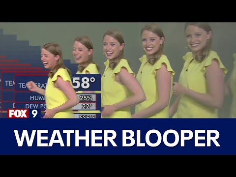 Meteorologist Completely Loses It On The Air When She Multiplies On Screen Due To A Computer Glitch