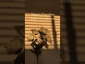 Humko Pyar Hua Ready Slowed And Reverbed
