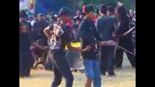 preview picture of video 'Bantengan Trisno Djati'