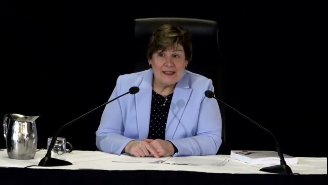 ‘A stain on our electoral process’ - Commissioner on foreign interference