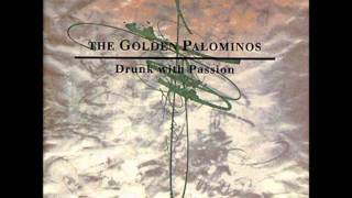 The Golden Palominos - The Haunting