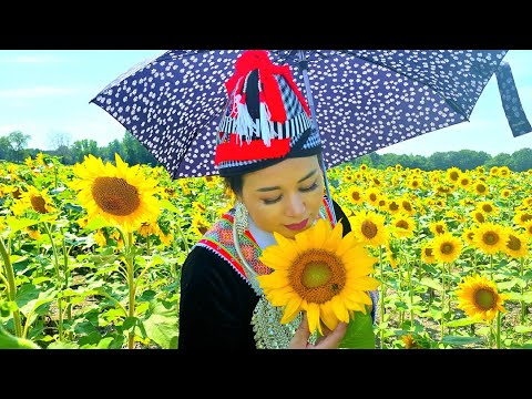 Xyooj Mim Yaj, Kwv Txhiaj Ua Nyab,Tsis Nco Qub Hluas