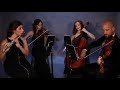 A Thousand Years Flute Violin Viola Cello Quartet Cover Kiral Artists