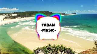 Broiler - Fly by night