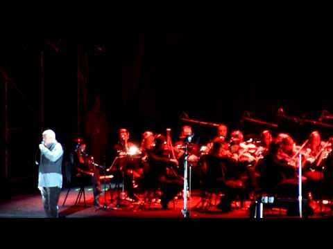 Peter Gabriel-The Book of Love (The Magnetic Fields)