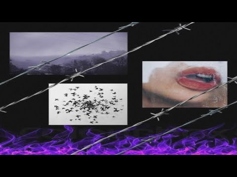 Sol Jay - Silence 🤫 [lyrics]