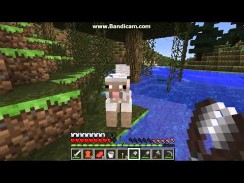 Dansk Minecraft-guide e17 - udflugt til landsby del1