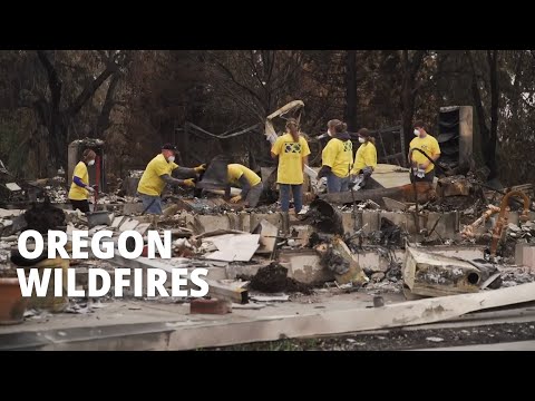 Homeward Bound Peter Hollens Feat 300 Oregon Choir Students I keep listening to it over and over. homeward bound peter hollens feat
