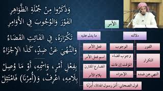 20شرح النظم الصغير في أصول الفقه - نظم وشرح/ عامر بهجت image