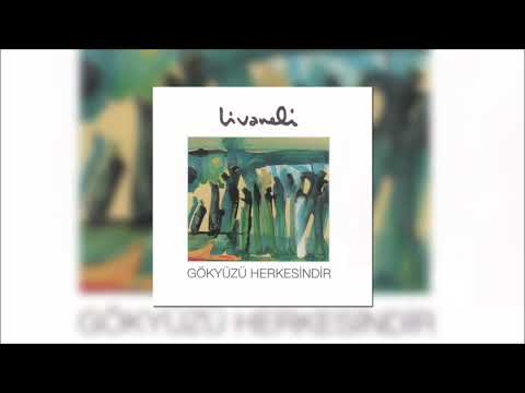 Video Yükleniyor...