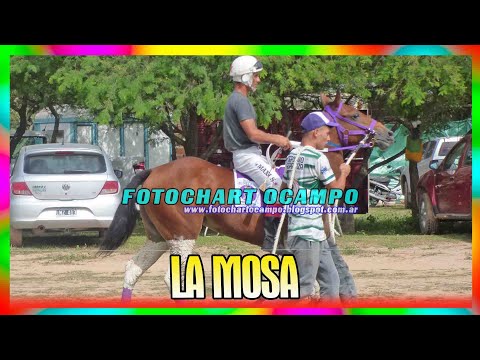 LA MOSA - Margarita Belén - Chaco 21/04/2024