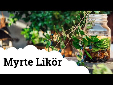 Griechische Myrte | Ein Symbol der Liebe und eine wertvolle Heilpflanze 🥰🌱