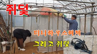 쥐덫이 고양이를 잡아요/미니하우스 해체작업