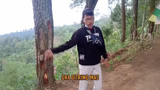 Download lagu PUTUS CINTA || story wa 30 detik || mp3