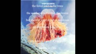 Step Rockets - If You Tried (lyrics and artwork)