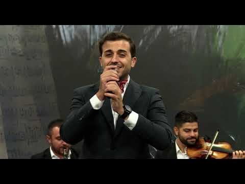 Za edna Kristina - Grupa MAESTRO & Milan Zavkov (Live)