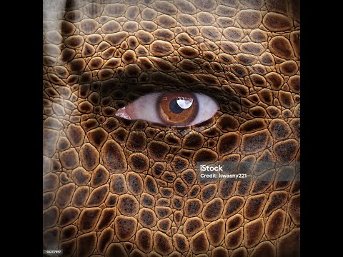 Human with Chameleon Skin  A Colorful Journey