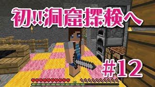 【マインクラフト】いざ洞窟への準備の回＃12