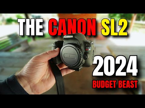 The Canon SL2: Budget Beast in 2024