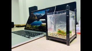 Setup bể thủy sinh trên bàn làm việc cực đẹp  chỉ với 100K