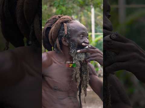 Jamaican Rasta #jamaica #jamaicajamaica #motivation #rasta #rastafari #montegobayjamaica #herbs