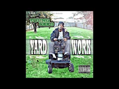 the Young Seed - Money Came In