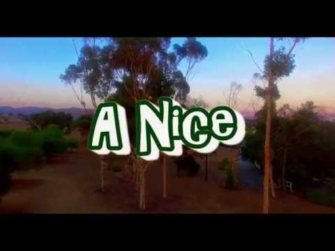 Fast Money Gang Anthem ( Flashy B, A Nice, T Nasty)