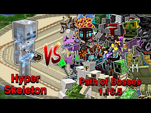 Minecraft |Mobs Battle1.16.5| Hyper Skeleton (Min's Thing)VS Path of Bosses (Twice)